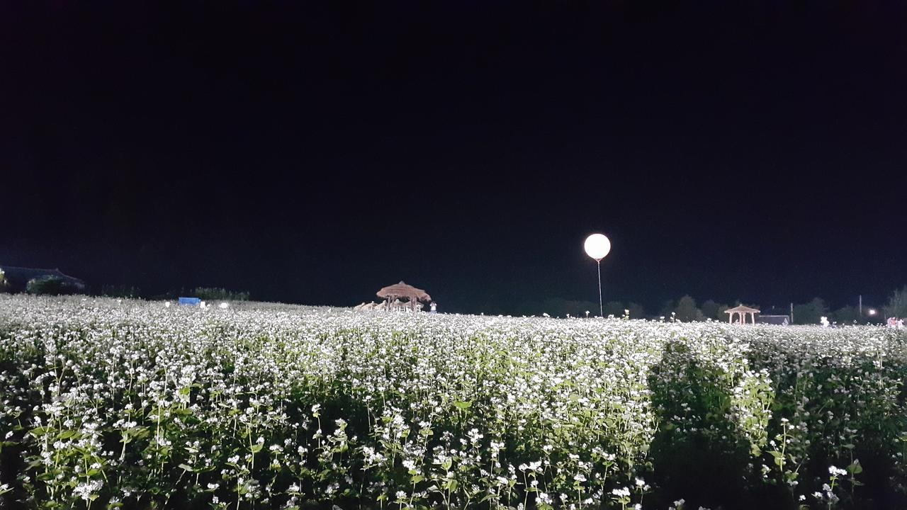 Secret Pension Pyeongchang Dış mekan fotoğraf