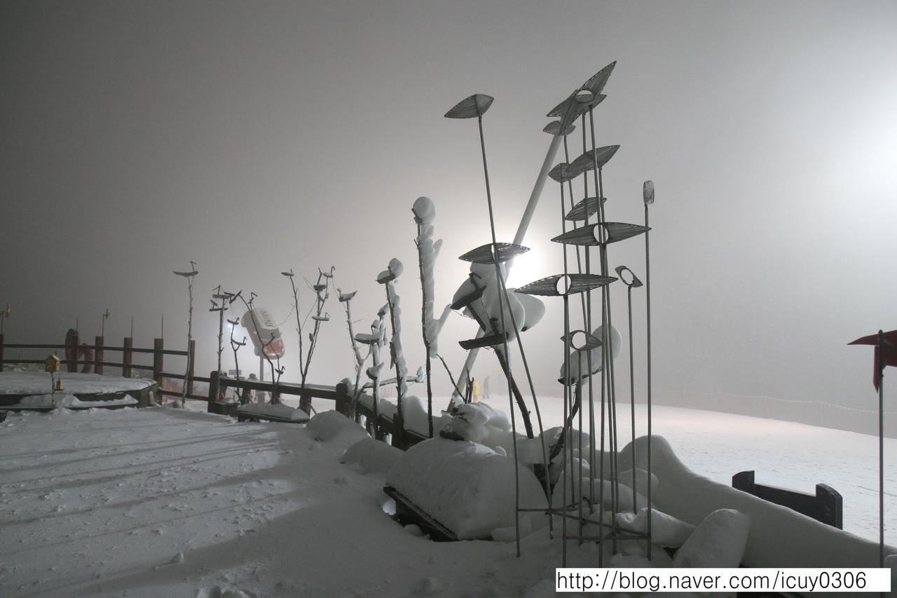 Secret Pension Pyeongchang Dış mekan fotoğraf